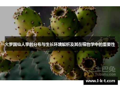 火罗国仙人掌的分布与生长环境解析及其在植物学中的重要性