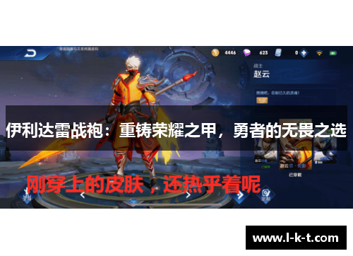 伊利达雷战袍：重铸荣耀之甲，勇者的无畏之选